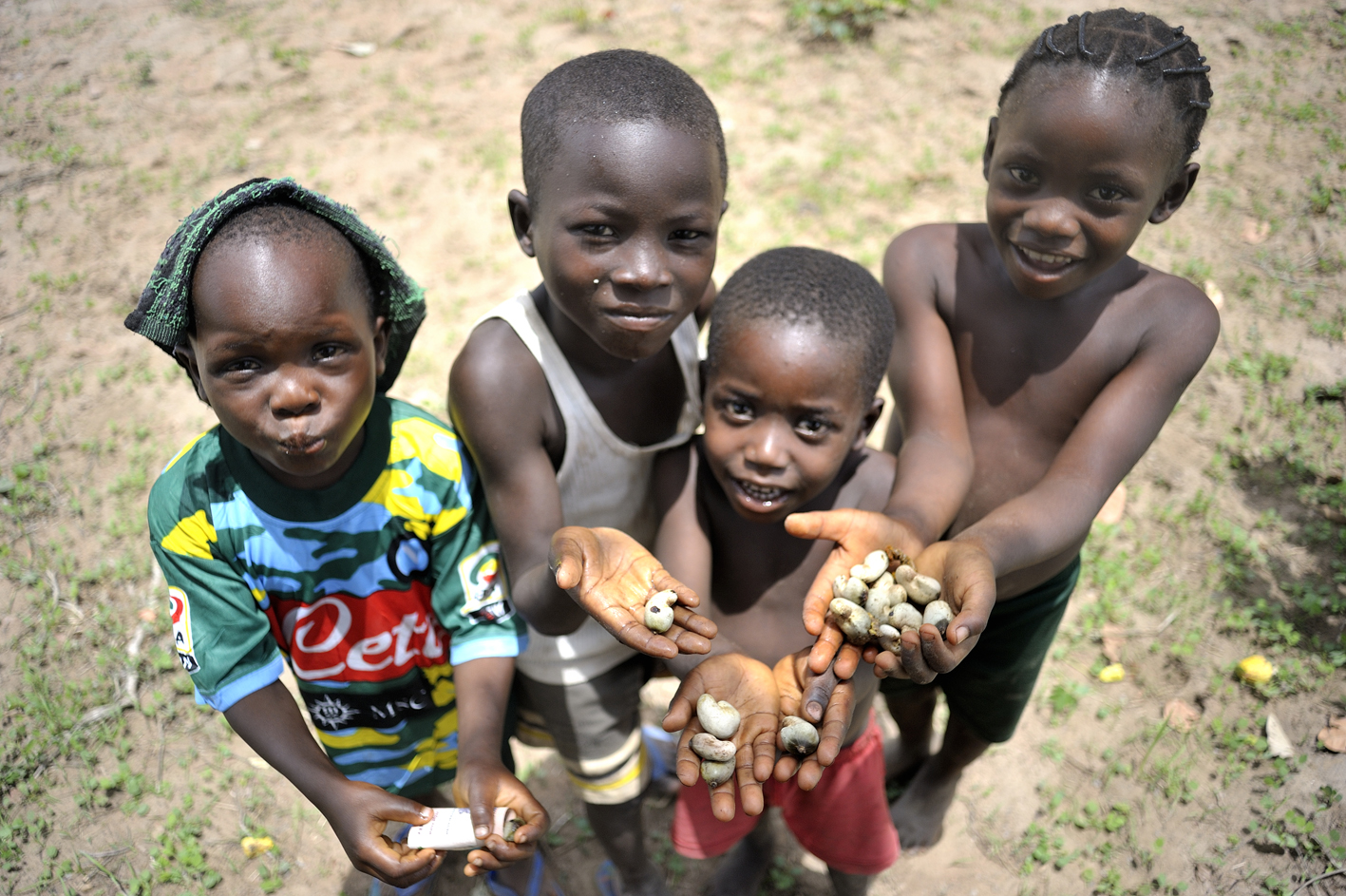 Kinder ernten Cashew in Nigeria. © Tobias Strahl